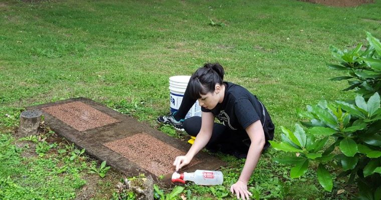 Headstone Cleaning Workshops Are Back!