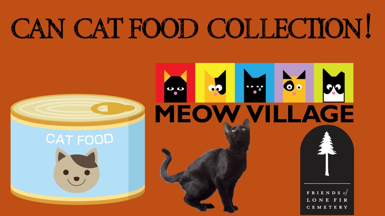 Can Cat food Drive!