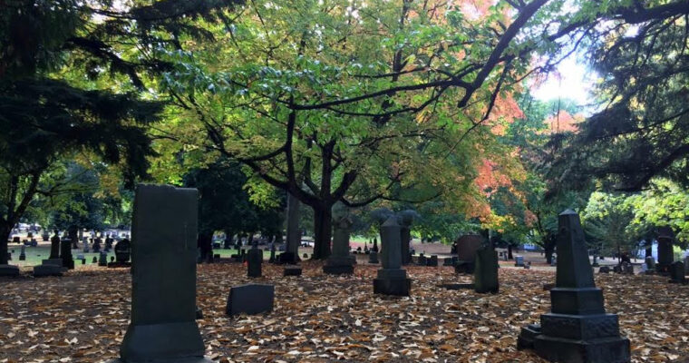 Cemetery Closed Halloween Night