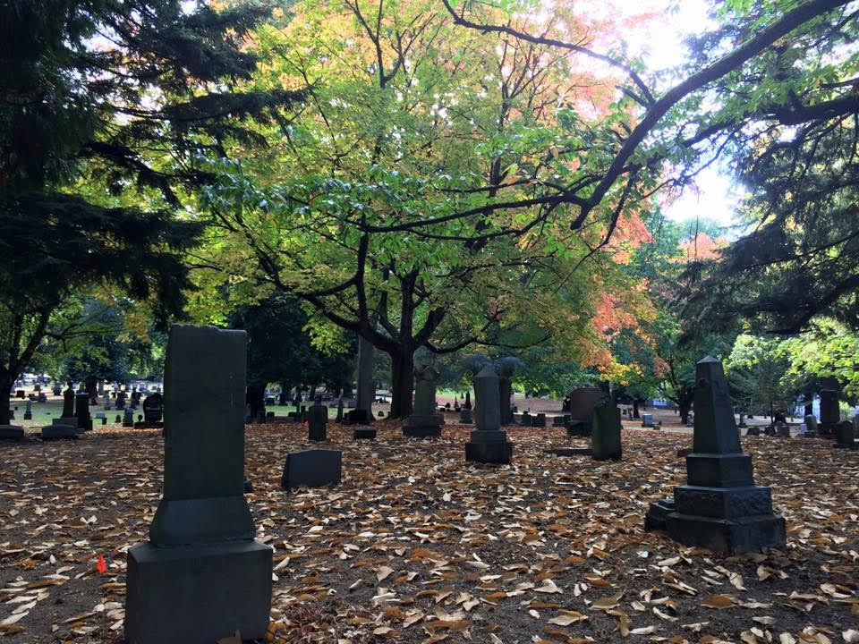 Cemetery Closed Halloween Night
