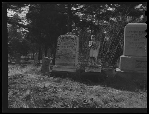 Tour of Untimely Departures Pop-Up Garage Sale